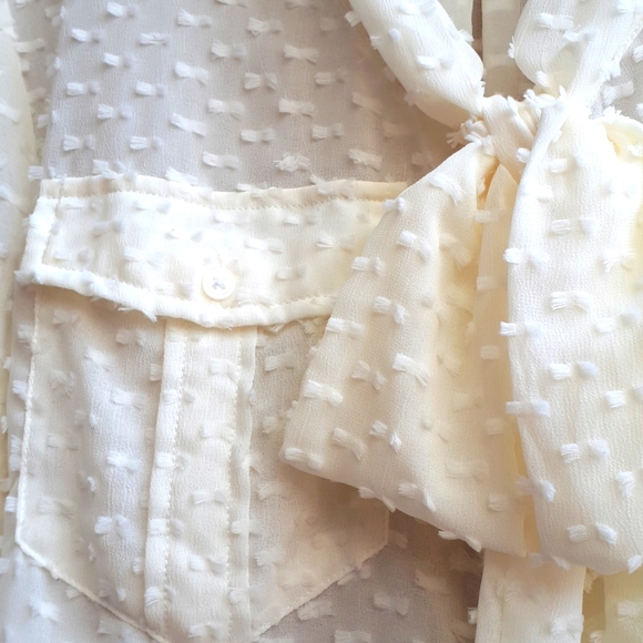 Banana Republic Tie Neck Blouse Dillon Fit - Picture 3 of 12